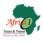 Africa One Group